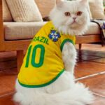 Stylish Brazil Cat Jersey for World Cup 2026