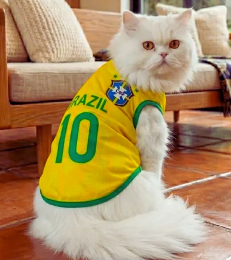 Stylish Brazil Cat Jersey for World Cup 2026 Stylish Brazil Cat Jersey for World Cup 2026 - Image 1